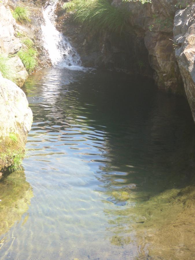 Pensao Estrela Hotell Unhais Da Serra Exteriör bild
